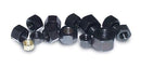 ARP 1/2in-20 SS Hex Nut Kit