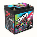 DS18 1000 Watts 28 AH Infinite AGM Power Cell Battery