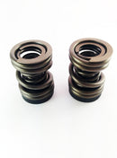 DDP 94-98 Dodge Cummins 5.9L 12V P-Pump 3000 & 4000 RPM Governor Spring Kit