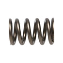 Manley Valve Spring, SPRING-NISSAN PATROL TB48