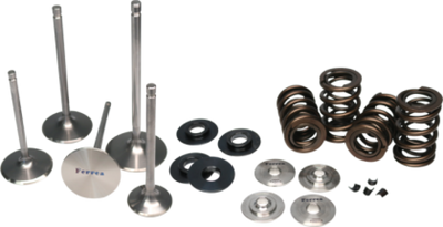 Ferrea Harley-DavidsonMilwaukee 8 Valve Spring Kit