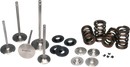 Ferrea Nissan Skyline RB26 Dual Valve Springs Kit
