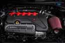 APR 17-20 Audi RS3 2.5T Gen 2 Carbon Fiber Intake Filter System