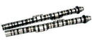 BLOX Racing Type-B Street/Strip Camshafts for K20A2