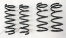 RS-R 03-09 Nissan 350Z (Z33) Down Sus Springs