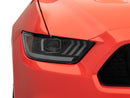 Photo - Close Up