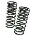RS-R 09-14 Nissan Maxima Down Sus Springs
