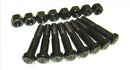 ARP BMW 4.4L M62/M62TU Rod Bolt Kit