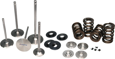 Ferrea Honda S2000 Dual Spring Kit