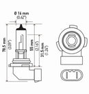 Hella Bulb H10/9145 12V 45W Py20D T4 (2)