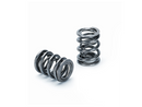 Supertech Dual Valve Spring - 29/21.80mm-21-15.5mm - 22mm CB - 18.3mm Max Net Lift - Set of 16