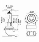 Hella Bulb H10/9145 12V 45W Py20D T4 Sb