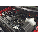 Edelbrock Supercharger Stage 1 - Street Kit 2004-2008 Ford F-150 5 4L 3V w/ Tuner