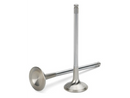 Supertech Honda H22A1/H22A4 Inconel Exhaust Valve - +1mm Oversize - Single (Drop Ship Only)